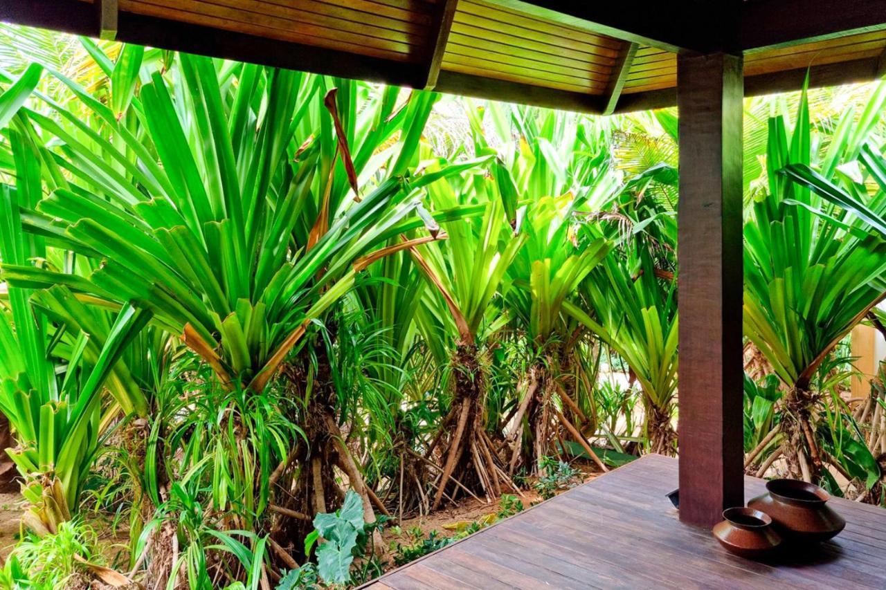 Zorah Beach Hotel Trairi Exterior photo